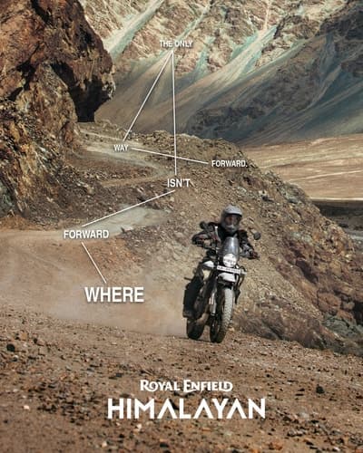 The All New Himalayan