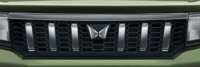 Front grille view