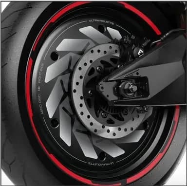 Rear Wheel Brake System