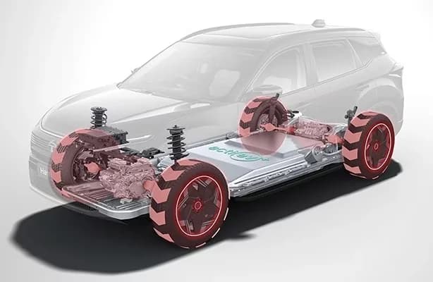 Body & Design