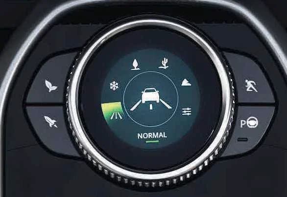 Controls and Buttons