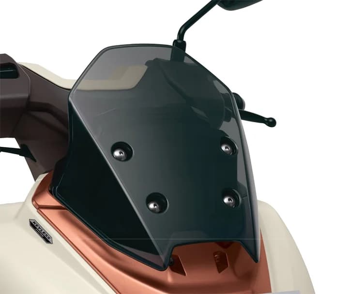 Windscreen / Visor