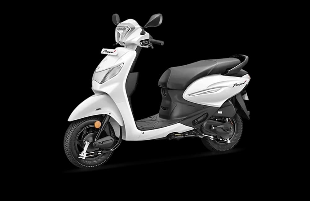 Left Side Profile