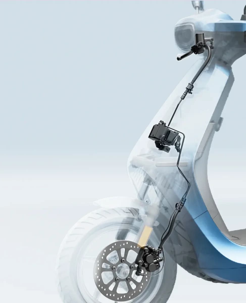 Body & Design