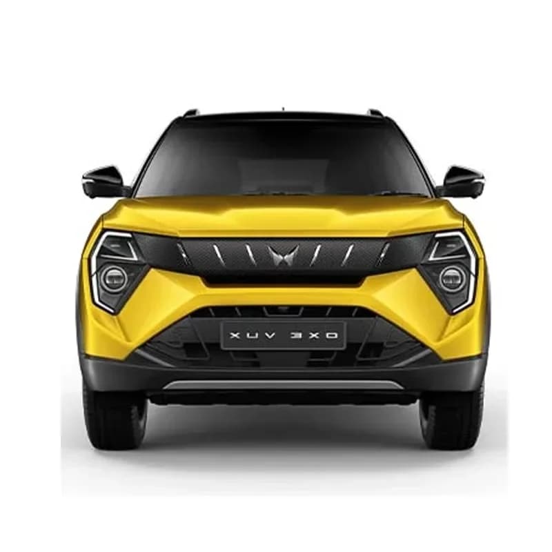 Front grille view