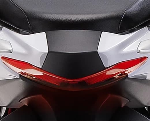Tail Light & Rear Turn Indicators