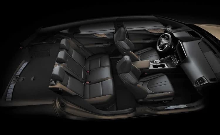 Body & Design