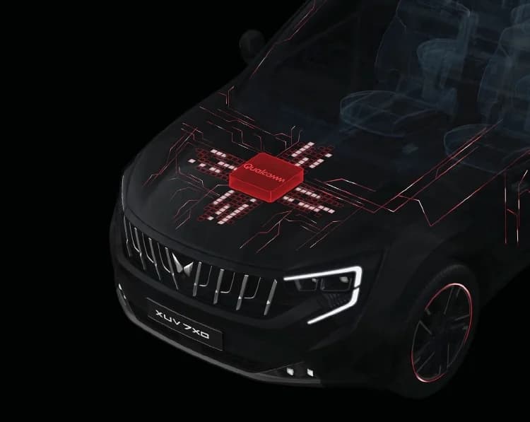 Body & Design