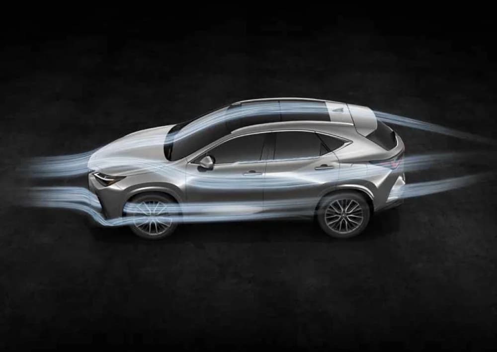 Body & Design