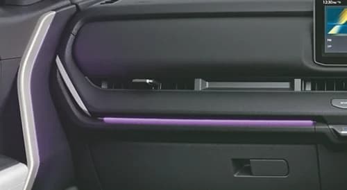 Other Features