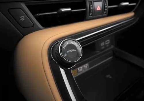 Controls and Buttons
