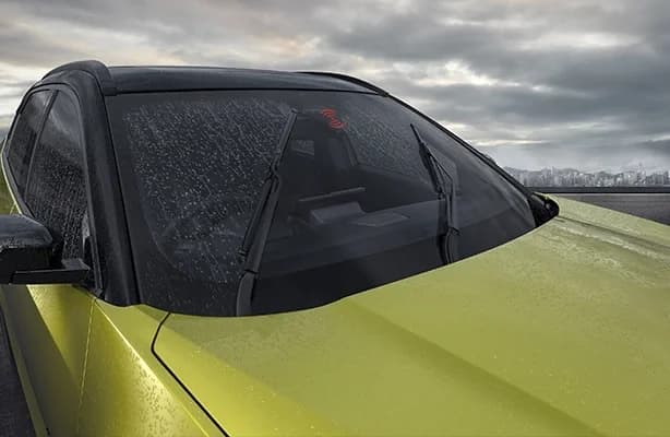 Windscreen / Visor