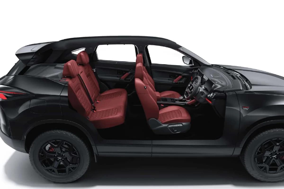Body & Design