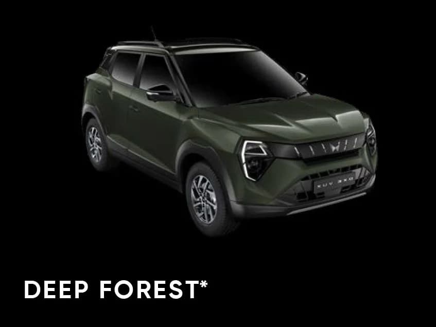 DEEP-FOREST
