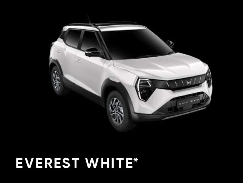 EVEREST-WHITE