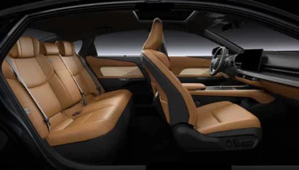 HAZEL SEMI ANILINE LEATHER