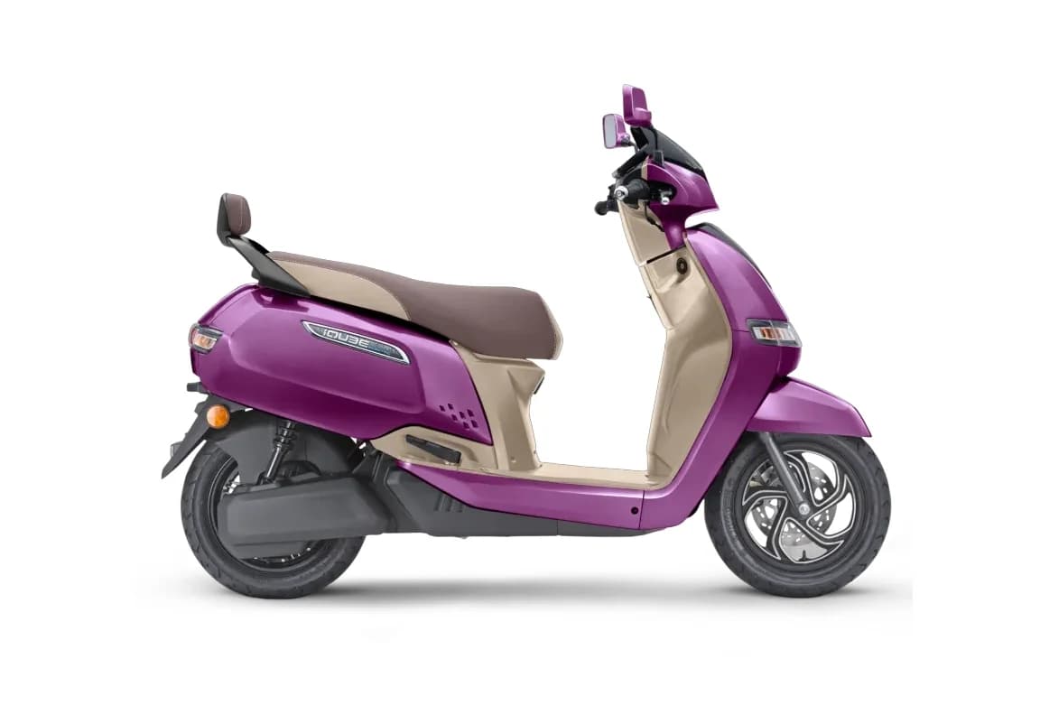 Magnificence Purple
