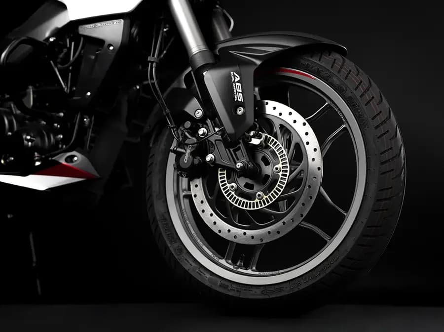 Rear Wheel Brake System