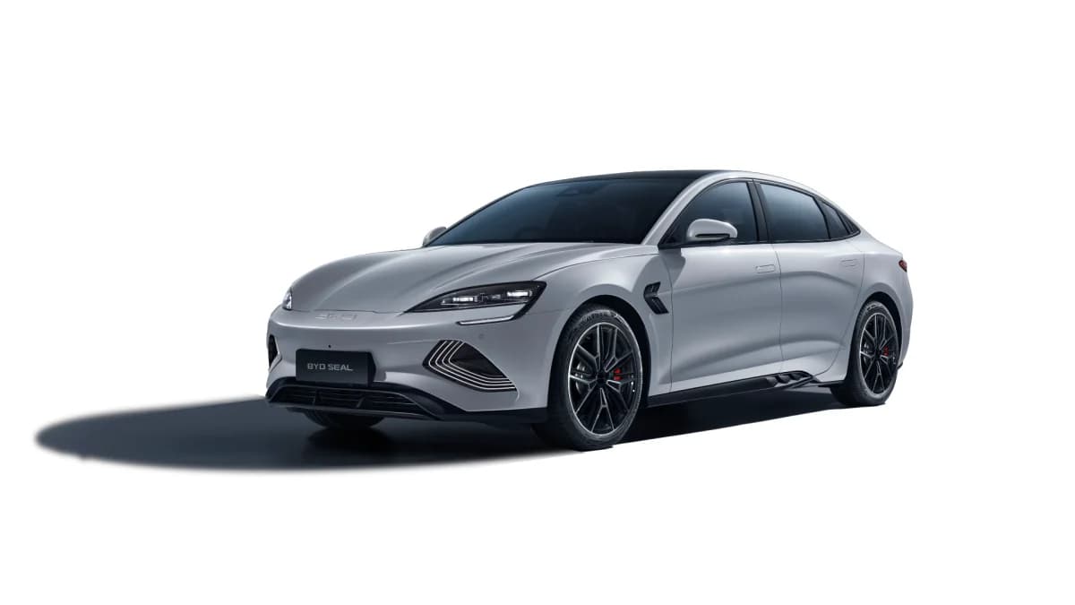 Shark Gray