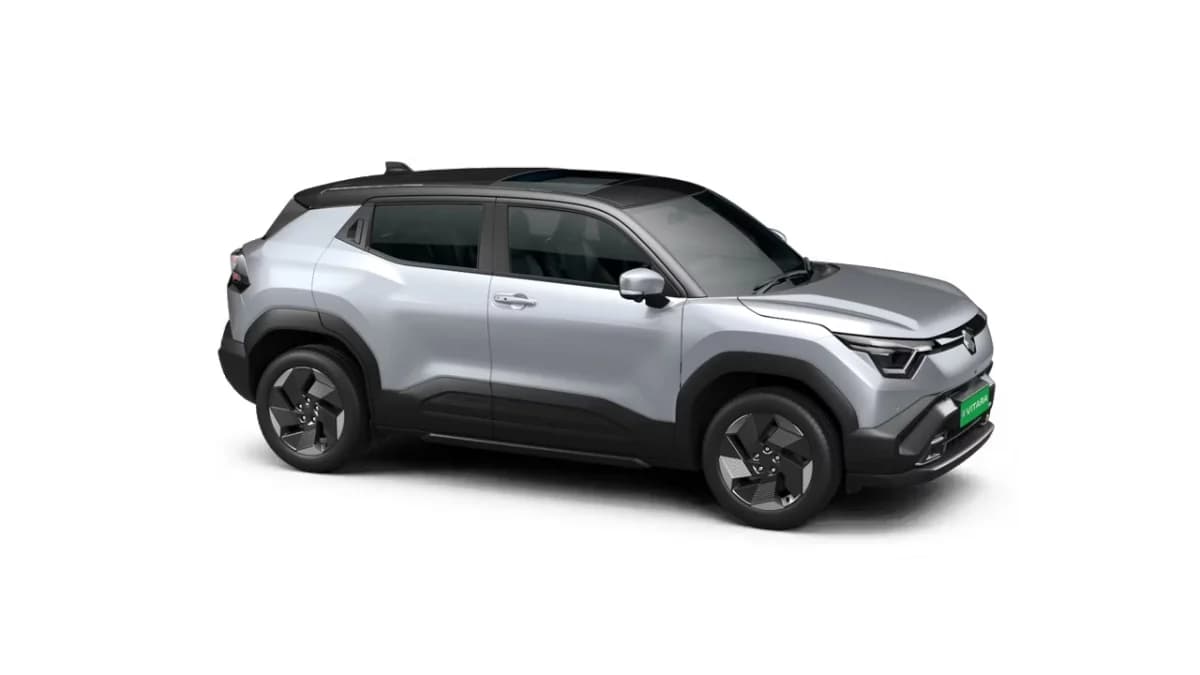 Splendid Silver with Bluish Black Roof