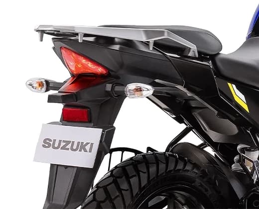 Tail Light & Rear Turn Indicators