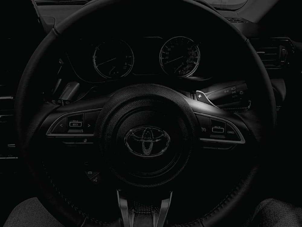 Control Panels on Steering
