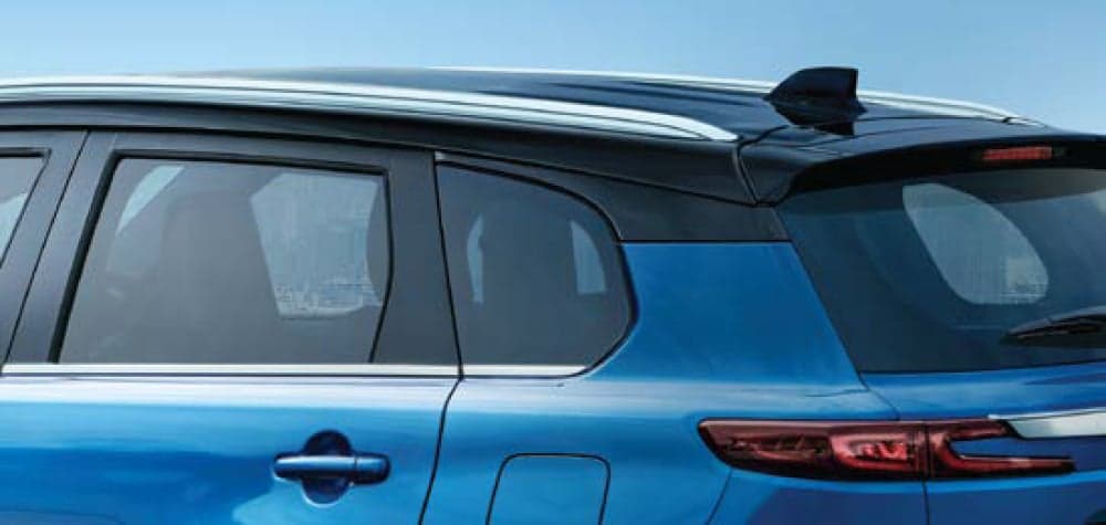 Dual Tone Body Colour