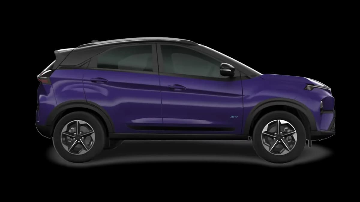 fearless purple with black roof