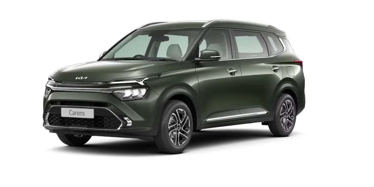 Pewter Olive