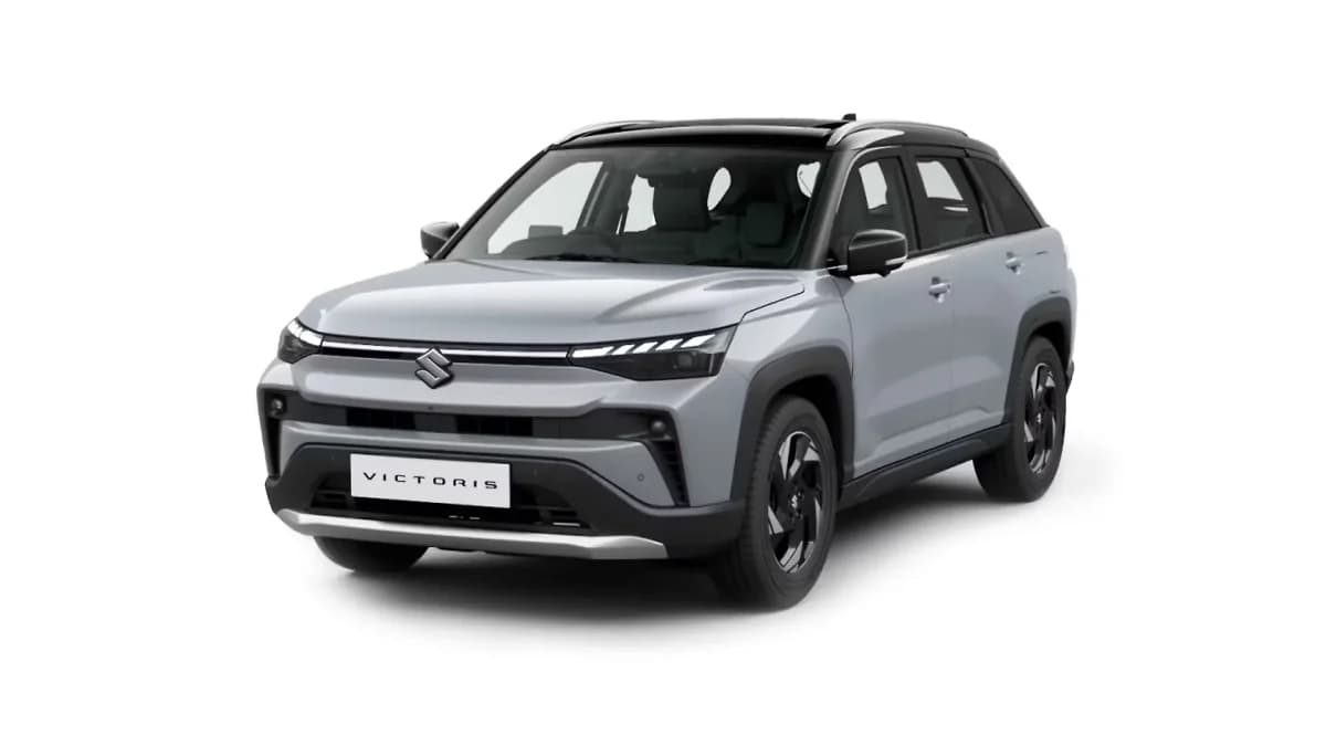 Splendid Silver with Bluish Black Roof
