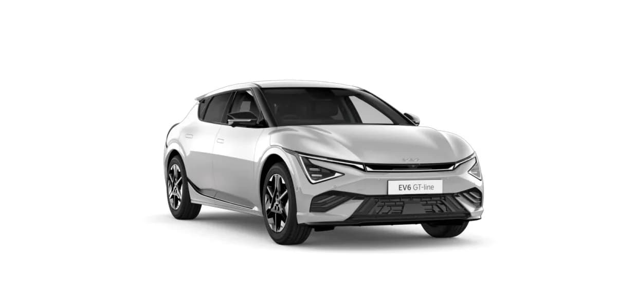 Wolf Grey